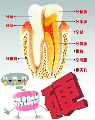牙隐裂如何修复如初