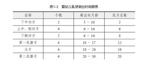 乳牙改什么时候拔除